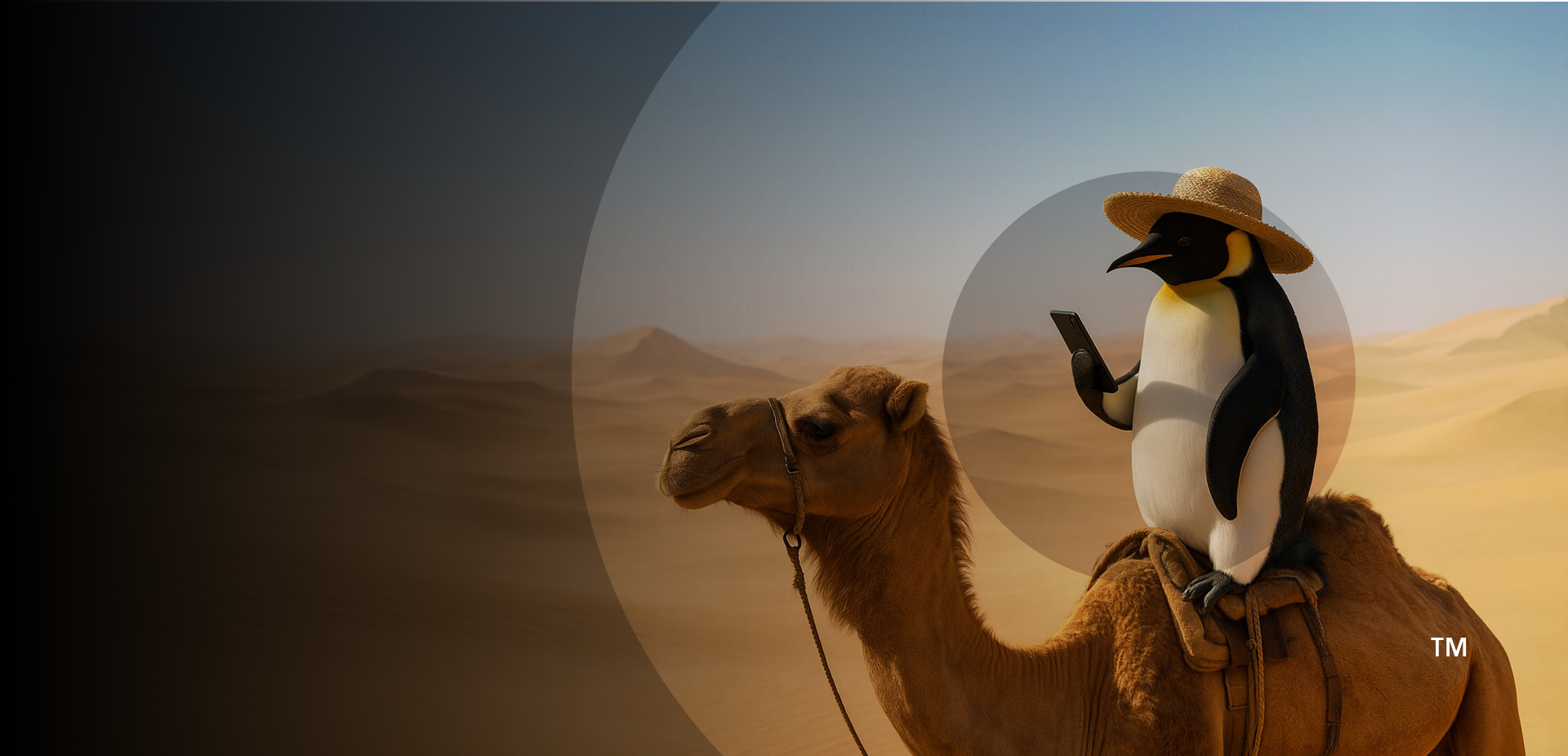 Real-time audio weather updates. At home. In your car. On your phone.